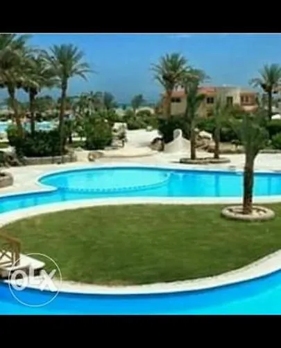 Diving Clubs *